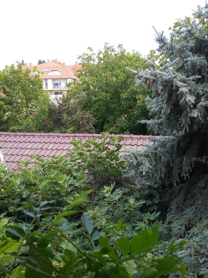 Balogh Vendeghaz Hotel Szeged Eksteriør billede